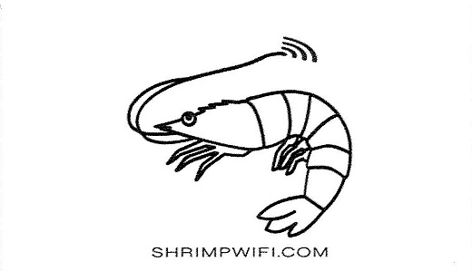 shrimp wifi